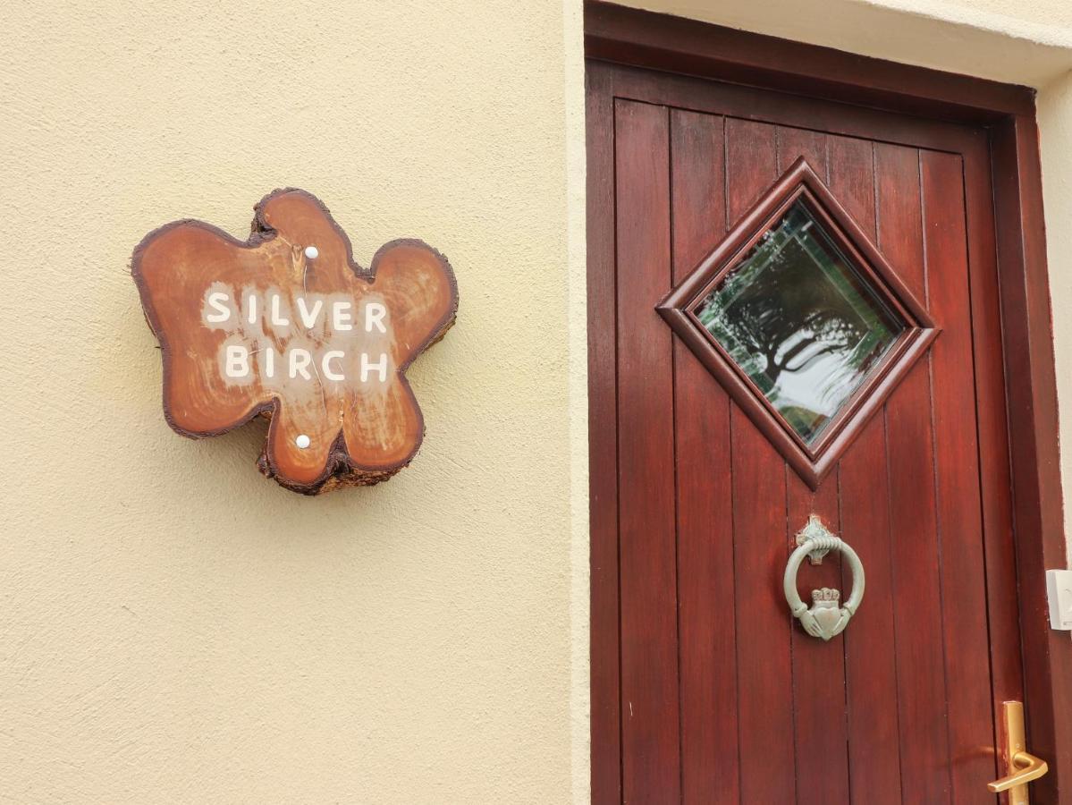 Silver Birch Cuar an Chlair Ngoại thất bức ảnh